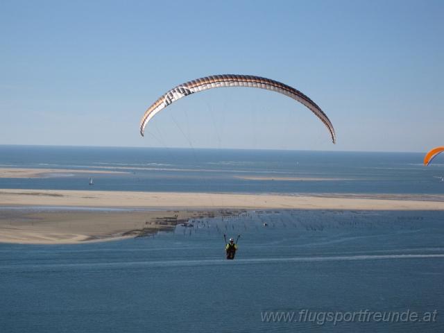 sandhaufen_2010-07-19 (49).JPG